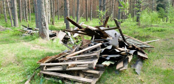 Debris Removal Service in Lewisville